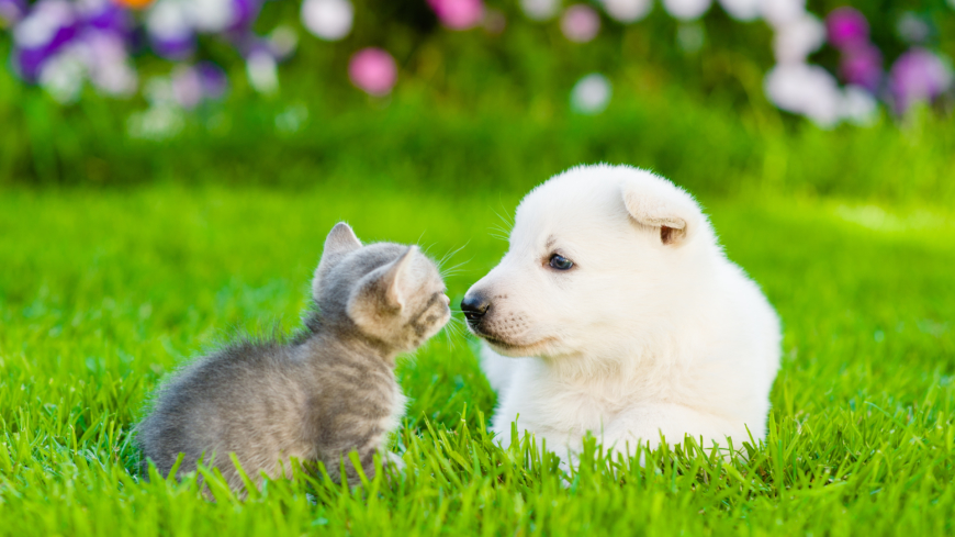 Man kan inte förhindra alla sommarfaror men man kan förebygga andra genom att vara smart och tänka förebyggande.  Foto: Shutterstock